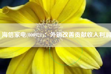 海信家电(000921)：外销改善贡献收入利润