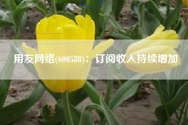 用友网络(600588)：订阅收入持续增加