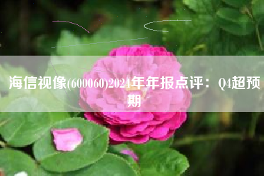 海信视像(600060)2024年年报点评：Q4超预期
