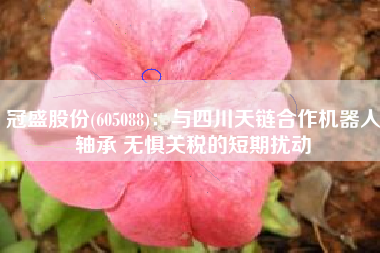 冠盛股份(605088)：与四川天链合作机器人轴承 无惧关税的短期扰动