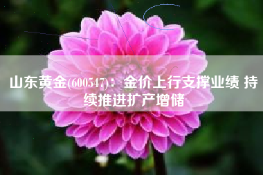 山东黄金(600547)：金价上行支撑业绩 持续推进扩产增储