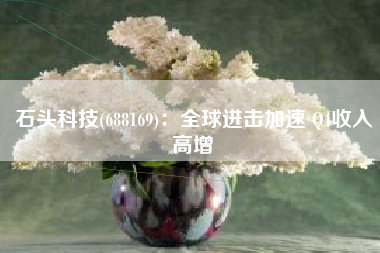 石头科技(688169)：全球进击加速 Q4收入高增