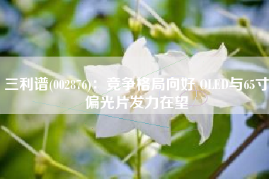 三利谱(002876)：竞争格局向好 OLED与65寸偏光片发力在望