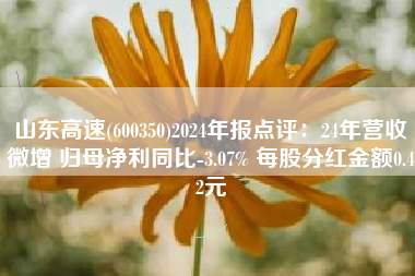山东高速(600350)2024年报点评：24年营收微增 归母净利同比-3.07% 每股分红金额0.42元