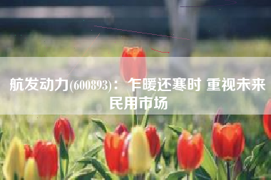 航发动力(600893)：乍暖还寒时 重视未来民用市场