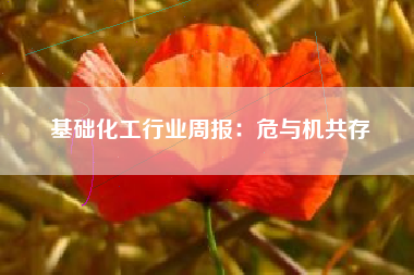 基础化工行业周报：危与机共存