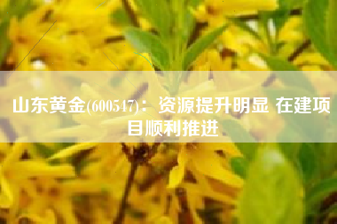 山东黄金(600547)：资源提升明显 在建项目顺利推进