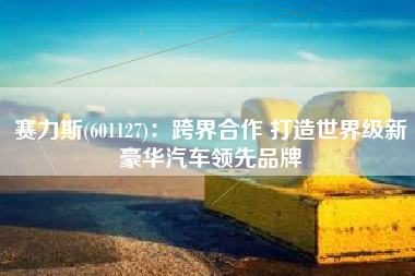 赛力斯(601127)：跨界合作 打造世界级新豪华汽车领先品牌