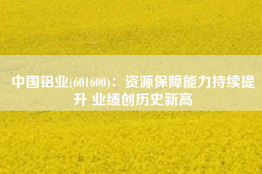 中国铝业(601600)：资源保障能力持续提升 业绩创历史新高