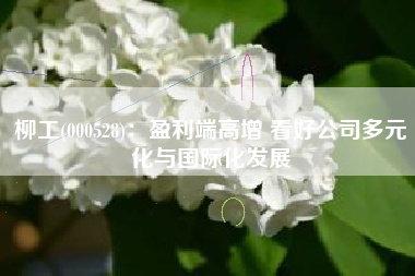 柳工(000528)：盈利端高增 看好公司多元化与国际化发展