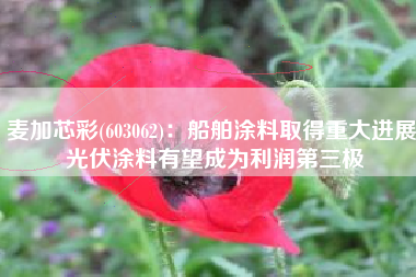 麦加芯彩(603062)：船舶涂料取得重大进展 光伏涂料有望成为利润第三极