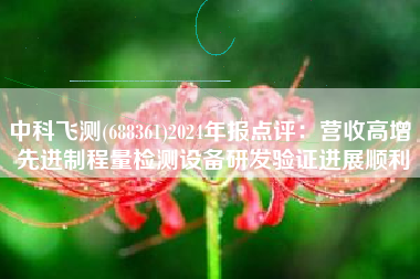 中科飞测(688361)2024年报点评：营收高增 先进制程量检测设备研发验证进展顺利