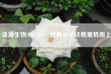 圣湘生物(688289)：聚焦分子诊断乘势而上