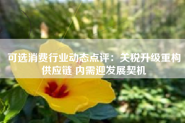 可选消费行业动态点评：关税升级重构供应链 内需迎发展契机