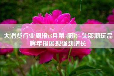 大消费行业周报(3月第4周)：头部潮玩品牌年报展现强劲增长