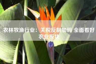 农林牧渔行业：关税反制加码 全面看好农业板块