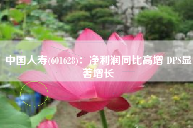 中国人寿(601628)：净利润同比高增 DPS显著增长