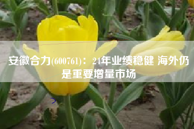 安徽合力(600761)：24年业绩稳健 海外仍是重要增量市场