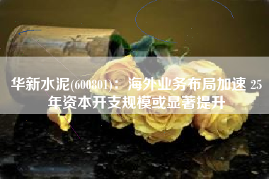 华新水泥(600801)：海外业务布局加速 25年资本开支规模或显著提升