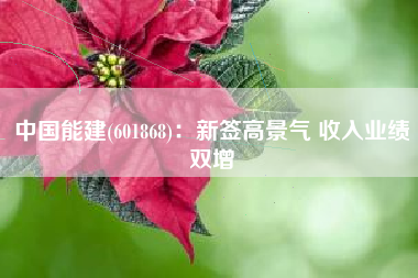 中国能建(601868)：新签高景气 收入业绩双增