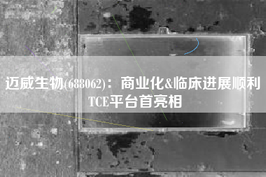 迈威生物(688062)：商业化&临床进展顺利 TCE平台首亮相