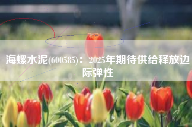 海螺水泥(600585)：2025年期待供给释放边际弹性