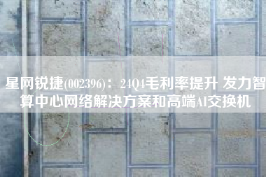 星网锐捷(002396)：24Q4毛利率提升 发力智算中心网络解决方案和高端AI交换机