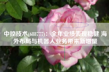 中控技术(688777)：全年业绩表现稳健 海外布局与机器人业务带来新增量