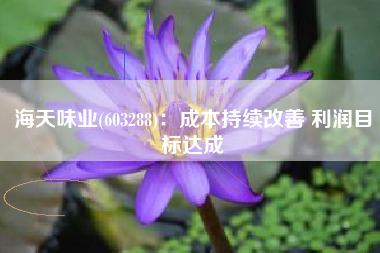 海天味业(603288)：成本持续改善 利润目标达成