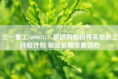 三一重工(600031)：拟回购股份并实施员工持股计划 彰显长期发展信心