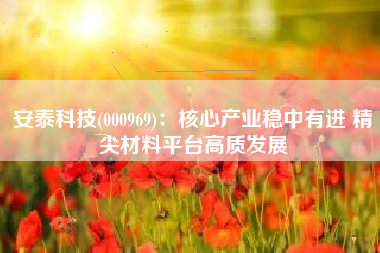安泰科技(000969)：核心产业稳中有进 精尖材料平台高质发展