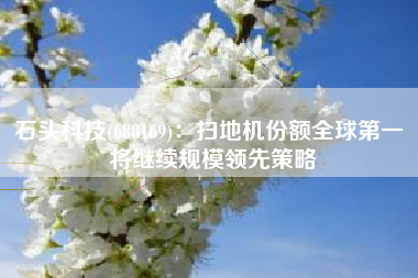 石头科技(688169)：扫地机份额全球第一 将继续规模领先策略