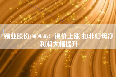 锡业股份(000960)：锡价上涨 扣非归母净利润大幅提升