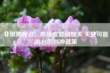 非银周观点:市场或波动加大 关注可能出台的对冲政策 非银周观点:市场或波动加大 关注可能出台的对冲政策