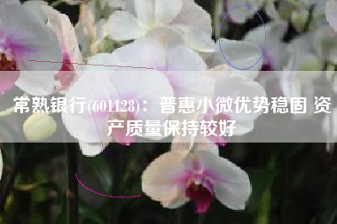 常熟银行(601128)：普惠小微优势稳固 资产质量保持较好