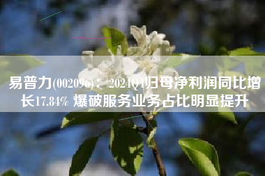 易普力(002096)：2024Q4归母净利润同比增长17.84% 爆破服务业务占比明显提升