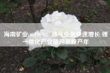 海南矿业(601969)：油气业务快速增长 锂一体化产业链迎来投产年