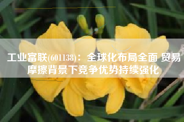 工业富联(601138)：全球化布局全面 贸易摩擦背景下竞争优势持续强化