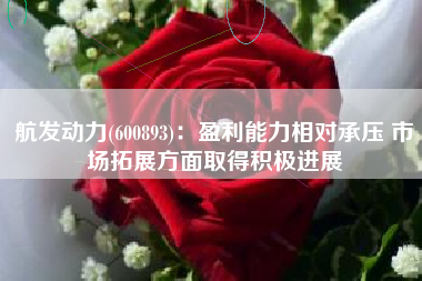 航发动力(600893)：盈利能力相对承压 市场拓展方面取得积极进展