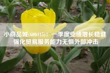 小商品城(600415)：一季度业绩增长稳健 强化贸易服务能力无惧外部冲击