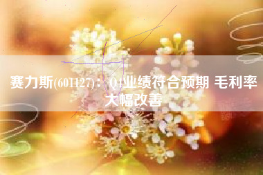 赛力斯(601127)：Q4业绩符合预期 毛利率大幅改善