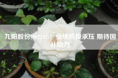 九阳股份(002242)：业绩阶段承压 期待国补助力