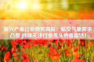 新兴产业行业研究周报：航空气象需求凸显 持续关注行业龙头纳睿雷达！