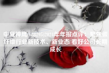 中复神鹰(688295)2024年年报点评：聚焦碳纤维行业新技术、新业态 看好公司长期成长