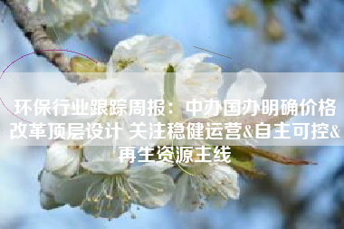 环保行业跟踪周报：中办国办明确价格改革顶层设计 关注稳健运营&自主可控&再生资源主线