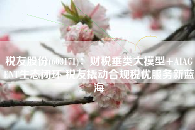 税友股份(603171)：财税垂类大模型+AIAGENT生态闭环 税友撬动合规税优服务新蓝海