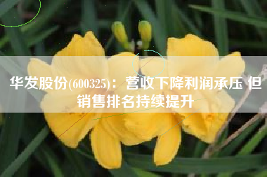 华发股份(600325)：营收下降利润承压 但销售排名持续提升