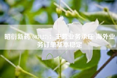 昭衍新药(603127)：主营业务承压 海外业务订单基本稳定