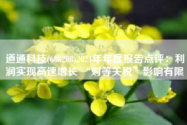 道通科技(688208)2024年年度报告点评：利润实现高速增长 “对等关税”影响有限