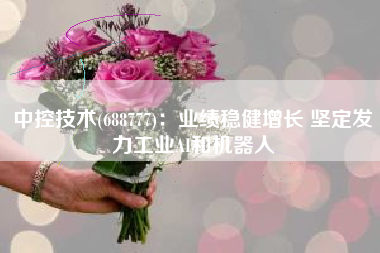 中控技术(688777)：业绩稳健增长 坚定发力工业AI和机器人